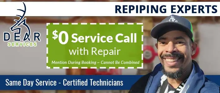 the puget sound Repiping Dear Services